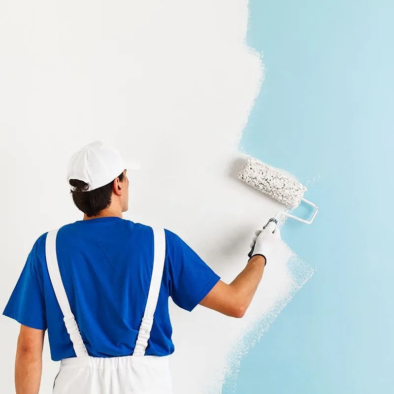 Smyrna iç cephe boyama